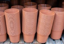 Roman Mykhalchuk / iStock / 1924117108