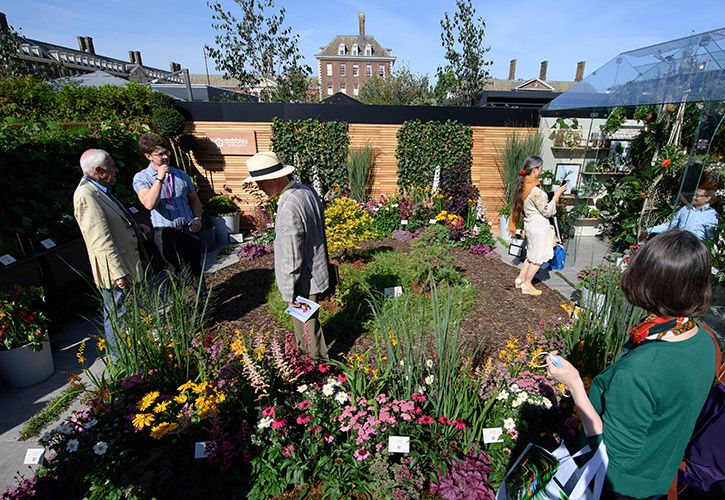 RHS Chelsea - Visitors on the Dobbies stand