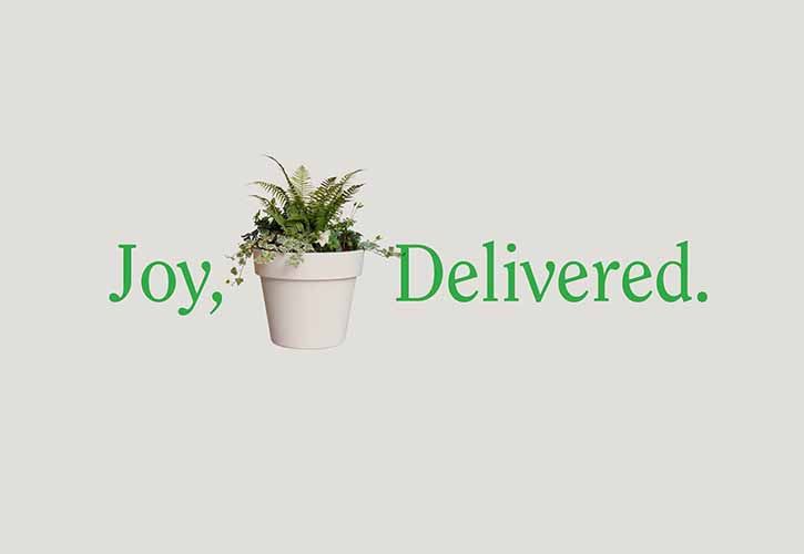 Joy, Delivered Muddy Trowl