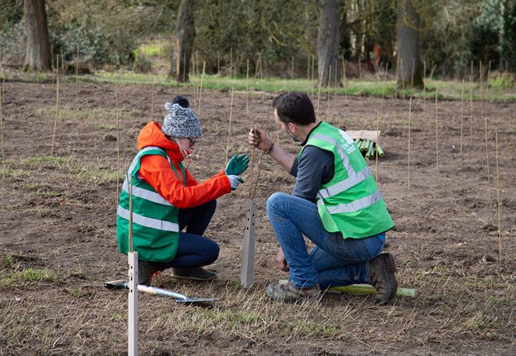 Dobbies The Tree Council