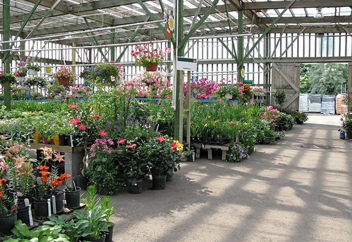 Garden centre flowers and soil shutterstock_53279059