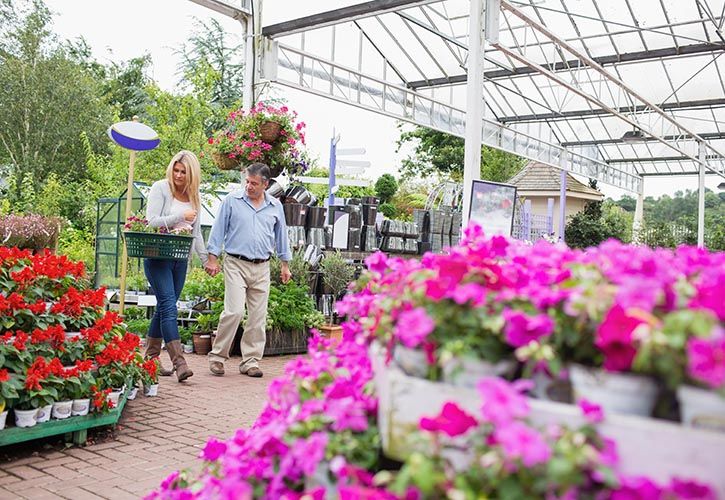 Couple in garden centre shutterstock_117231496 725 x 500