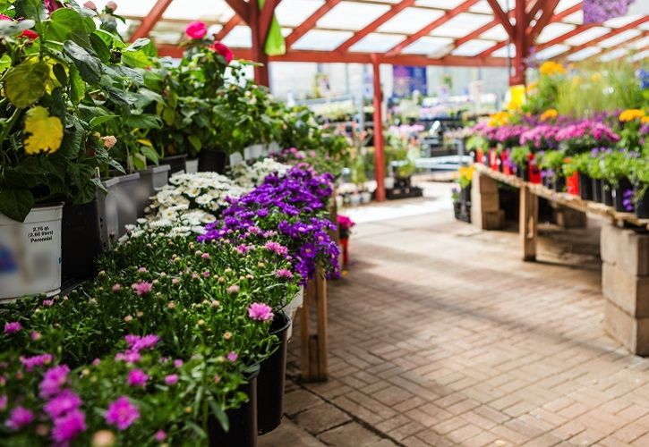 Garden Centre Image - Shutterstock 725 x 500