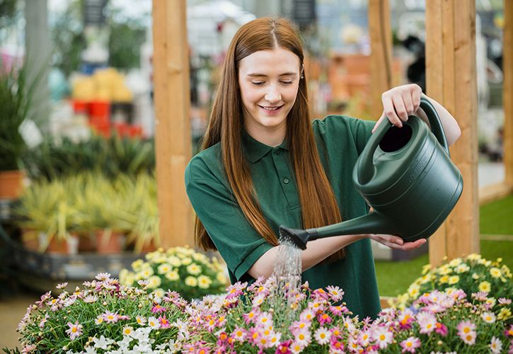 Dobbies staff watering can