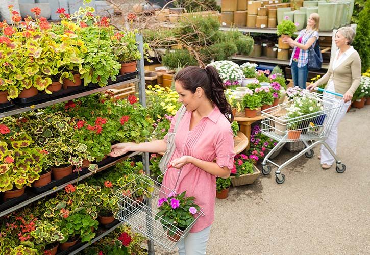 Female shoppers at garden centre shutterstock_105761693 725 x 500