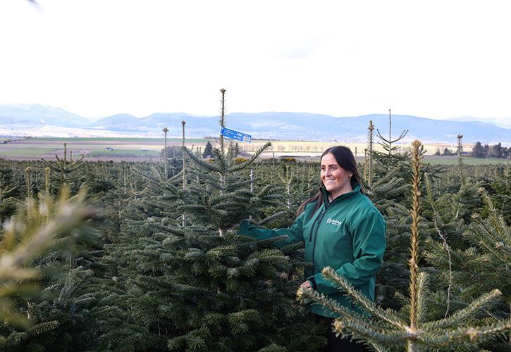 NYAC_Team member with sustainably grown Christmas tree (Abbie McCann)