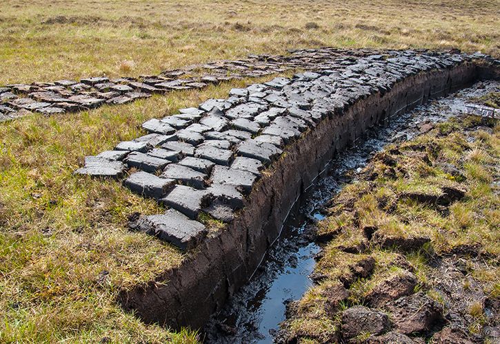 Peat turf cut Drimafilm iStock-538990315