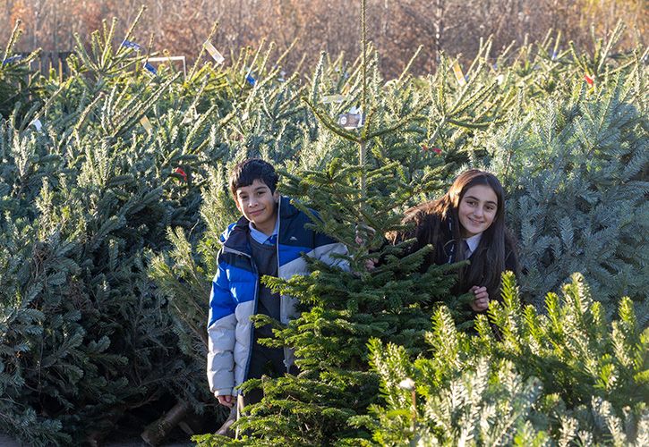 Pupils from Merrylee Primary School Glasgow at Dobbies Garden Centres Jeff Holmes copyright