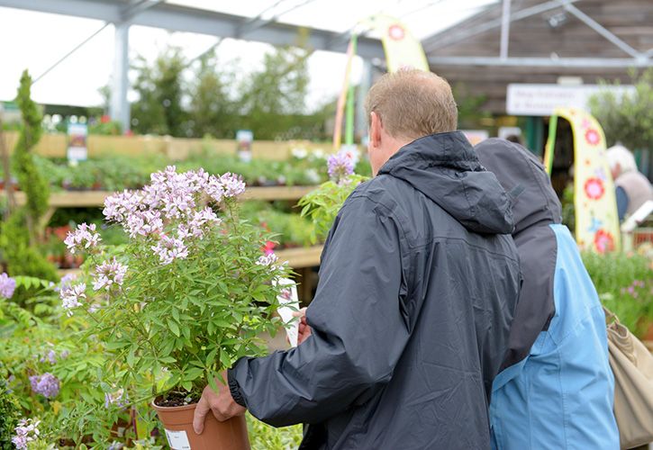 GCA only - garden centre customers