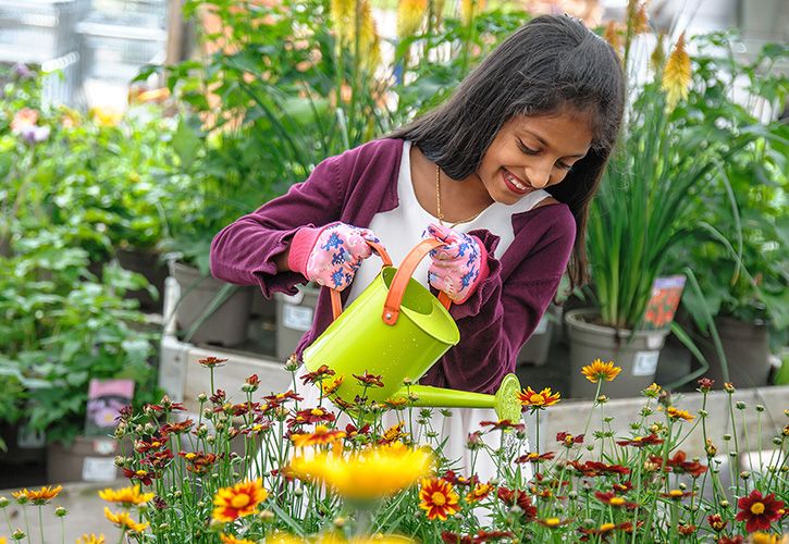 Dobbies’ Little Seedlings Club Ambassador Iniya Evelyn Raj at the Kings Lynn store ( UNP)