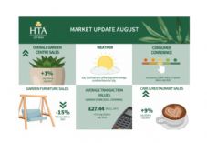 HTA August Market Update