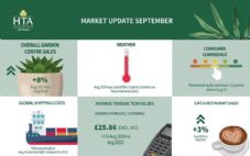 HTA Market Update September (August data)