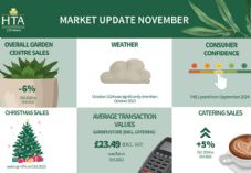 HTA Market Update November for October