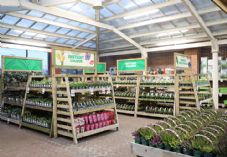 The Range Christchurch - Garden Centre by Homebase