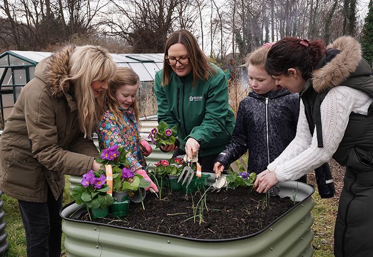 Dobbies - Community Gardens