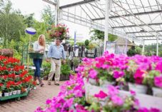 wavebreakmedia / shutterstock / 117231496