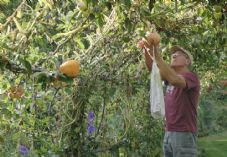 Democracy - Steve Mills - Overall Plot of the Year winner and Best Garden Plot winner