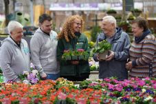 © Stewart Attwood Dobbies Community Gardens