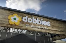 Dobbies great pic