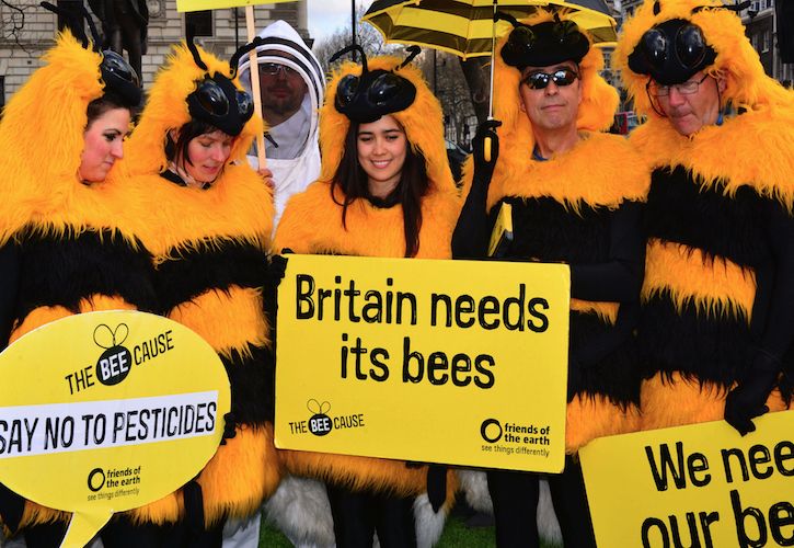 Friends of the Earth bee campaign