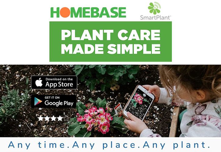 Homebase and SmartPlant 725 x 500.jpg