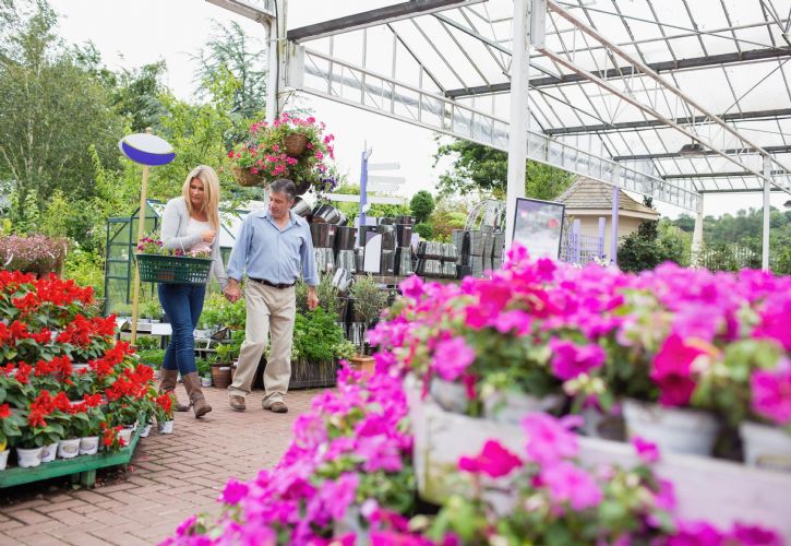 Couple in garden centre shutterstock_117231496 725 x 500.jpg