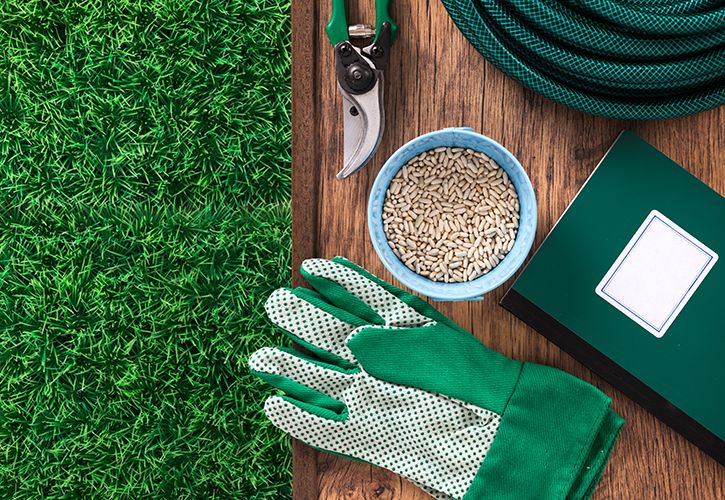 Garden gloves seeds hosepipe shutterstock_276802847 725 x 500.jpg