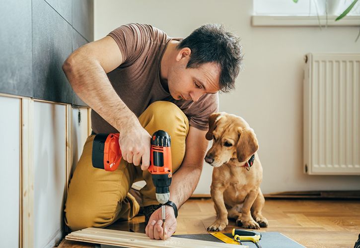 Southern Sheeting DIY and dog