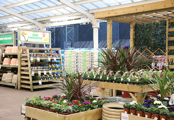 /live/news/wysiwyg/The Range Christchurch - Garden Centre by Homebase plants.JPG